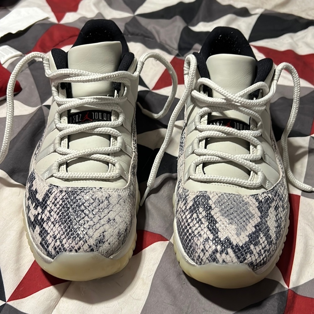 Size 10.5 retro 11 snake skins